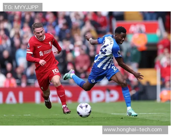 新年足球赛场风云：聚焦球星精彩表现与未来展望